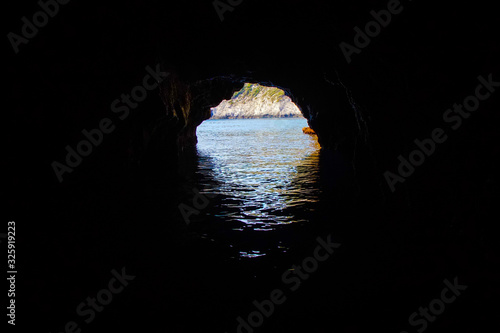 Cave of forgotten dreams