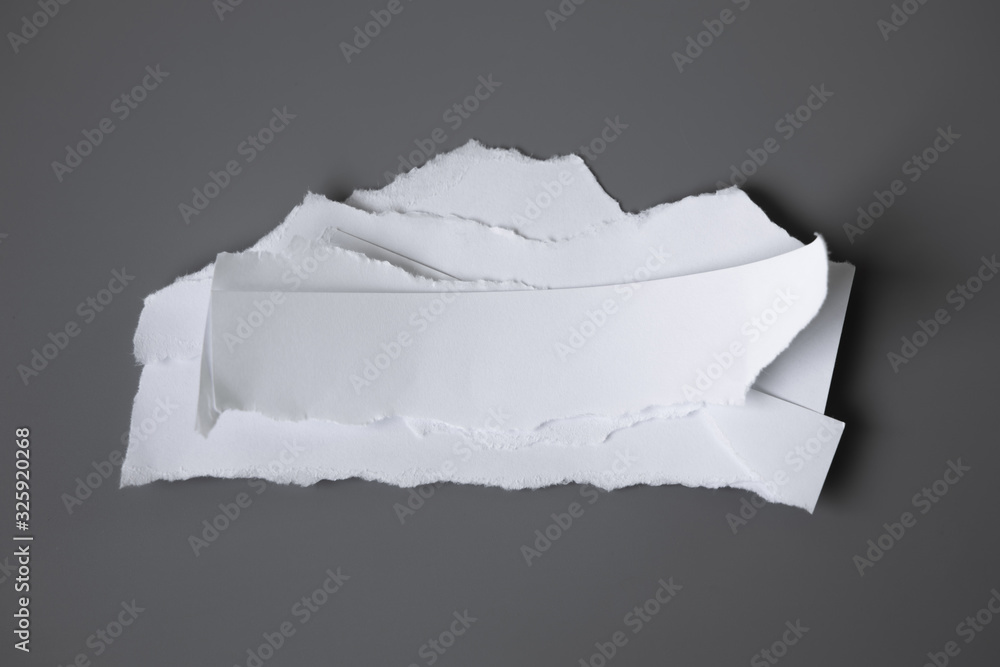 white torn paper on gray background. collection paper rip white torn paper on gray background. collection paper rip