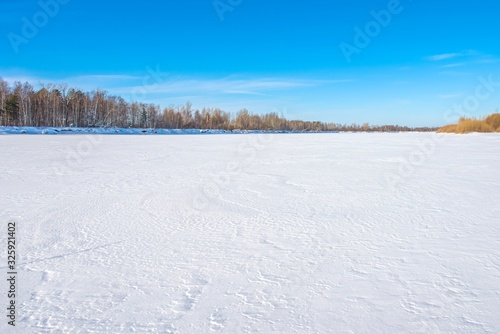 Wallpaper Mural A large frozen river covered with even snow. Clear sunny day Torontodigital.ca