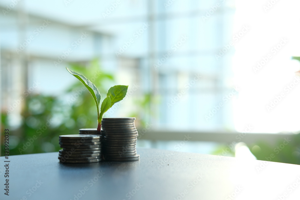 young plant growing through coins, investment, close up young plant growing through coins, investment, close up