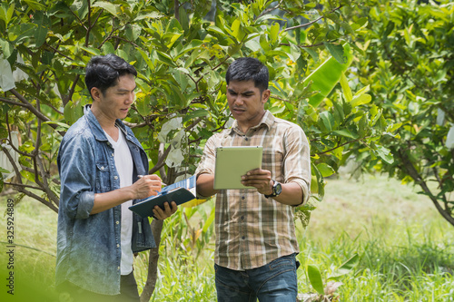 farmer checking and controling produce to qulity of product in farm field photo