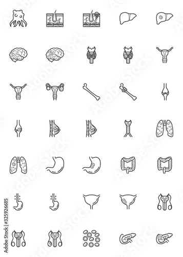 Cancer types line icons set. linear style symbols collection, Malignant Tumor outline signs pack. vector graphics. Set includes icons as Leukemia blood cells, oncology cancer cell, melanoma skin