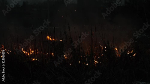 Wild Fire Spreads Out Across The Forest Steppe. Burning Dry Grass In The Natural