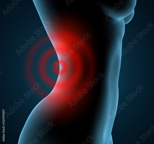 vector female body on a blue background. lower back pain