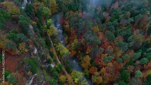 Wallpaper Mural Gorgeous 4k aerial drone shot of red green colorful leaves autumn fall trees in countryside mountain forest landscape Torontodigital.ca