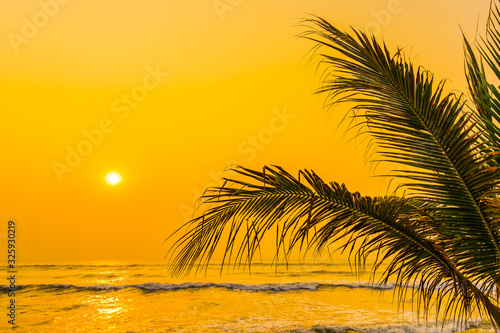 Beautiful nature with palm tree around sea ocean beach at sunset or sunrise © siraphol