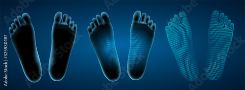 3d illustration,vector foot volume, health and shoe selection
