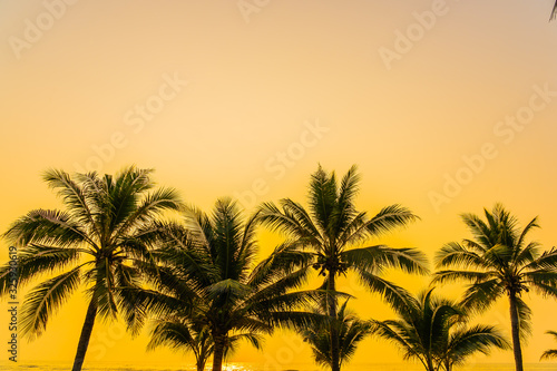 Beautiful nature with palm tree around sea ocean beach at sunset or sunrise