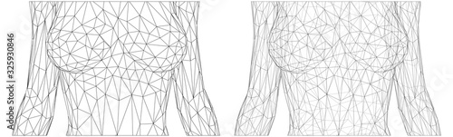 set of vector 3d female bodies, thin line style