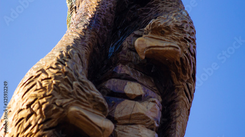 Eagle Carving in a tree close-up