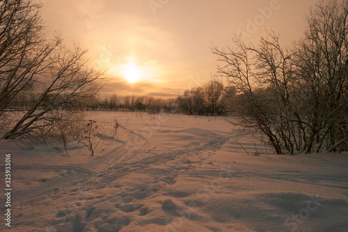 sunrise over winter forest and snow field