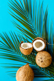 Coconuts and leaves - tropical still life on blue background top-down