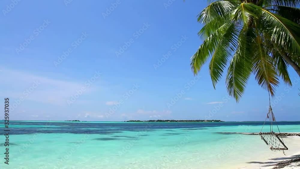 Gorgeous steady paradise shot of tropical palm tree in windy white sand luxury beach in turquoise blue ocean seascape Gorgeous steady paradise shot of tropical palm tree in windy white sand luxury beach in turquoise blue ocean seascape