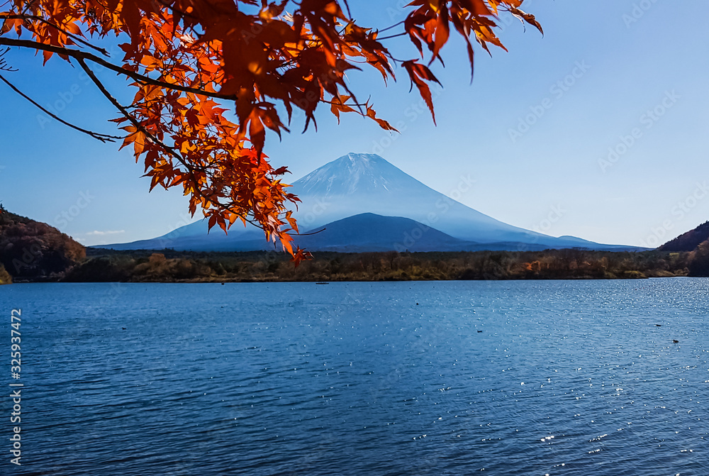 Autumn at Shojiko lake