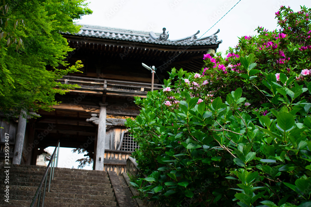 大阪府泉南市の長慶寺