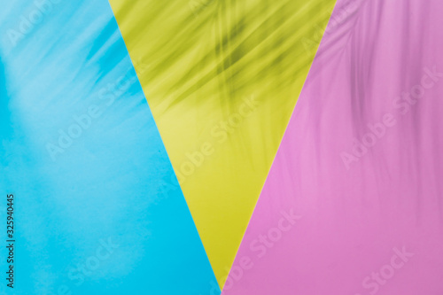 Shadows of palm leaf on bright pink, yellow, blue background. Place for text.
