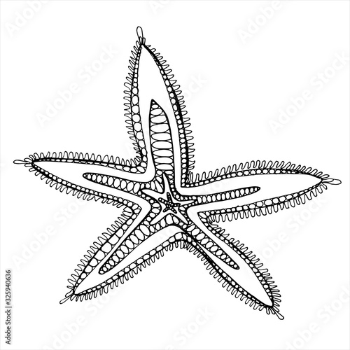 Sea star. Coloring book for children and adults. Beautiful drawings with patterns and small details.