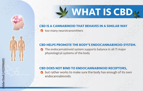what is CBD benefits,Medical uses for cbd oil and endocannabinoid system,vector infographic on white background.