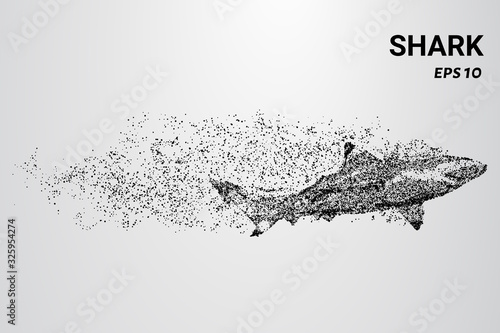 The shark from the particle. A shark consists of circles and dots. The shark splits into molecules.