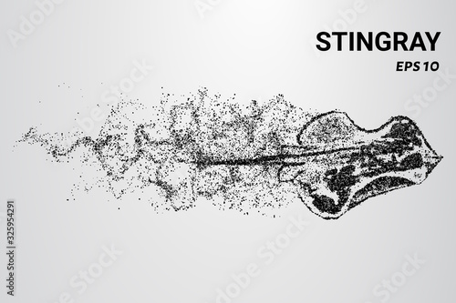 Stingray of the particles. Stingray consists of circles and dots. Stingray breaks down into molecules.