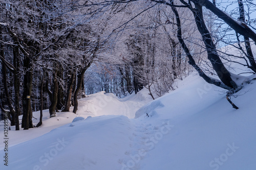 turystyczny szlak na połoninę Bieszczady