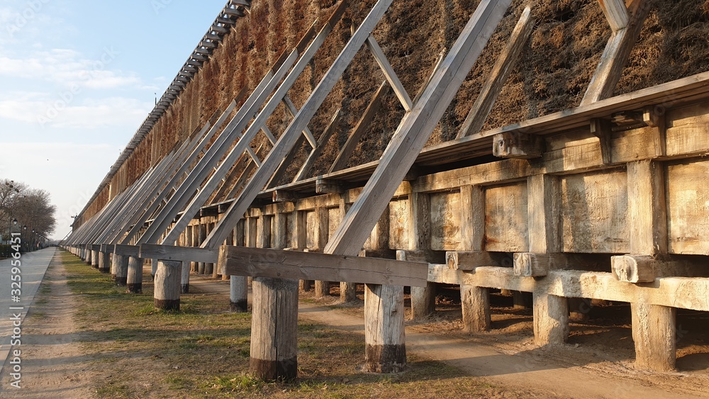 Fototapeta premium Teznia