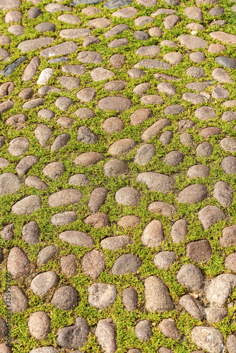 Closeup of a stone pavement with cobblestones and green grass in the historic center of Bologna, Emilia-Romagna, Italy, Europe