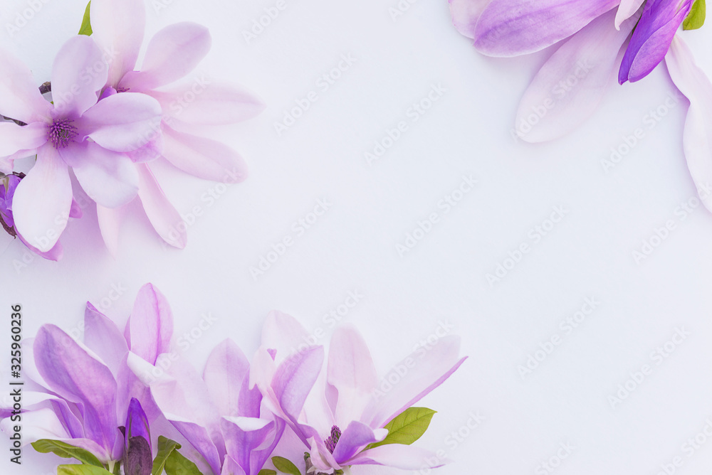 Beautiful floral background. Pink magnolia flowers on white background Beautiful floral background. Pink magnolia flowers on white background