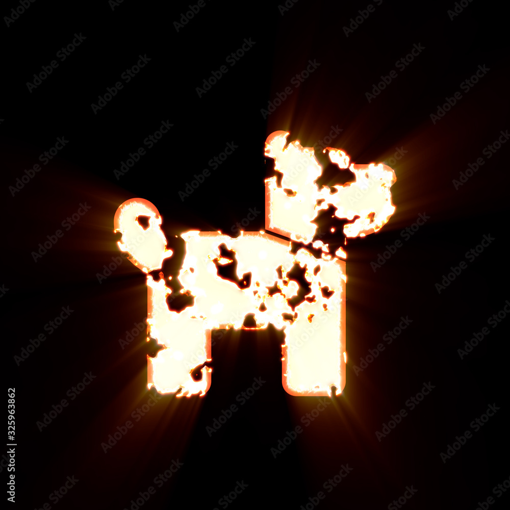 Symbol dog burned on a black background. Bright shine Symbol dog burned on a black background. Bright shine
