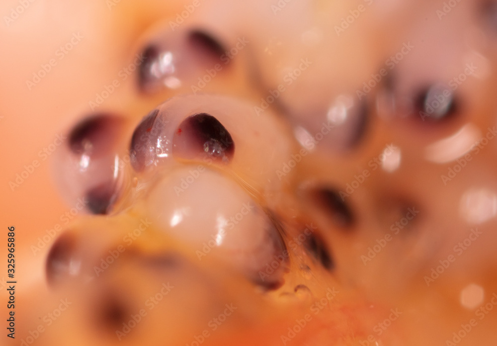 Fototapeta premium Red caviar in a shrimp as a background