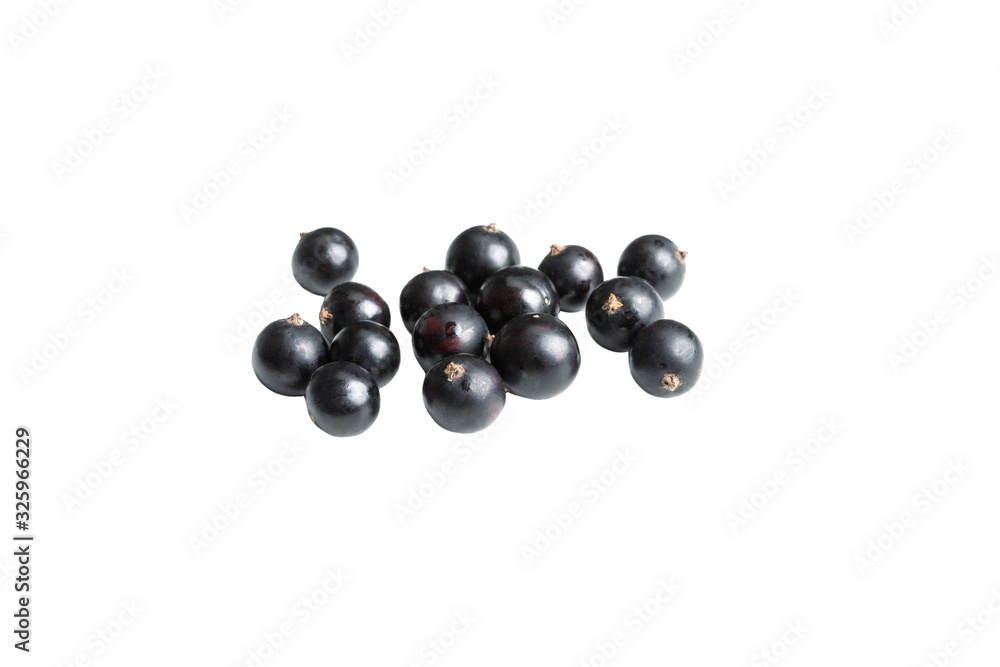 black currant isolated on white background. blackcurran berry. black currant isolated on white background. blackcurran berry.