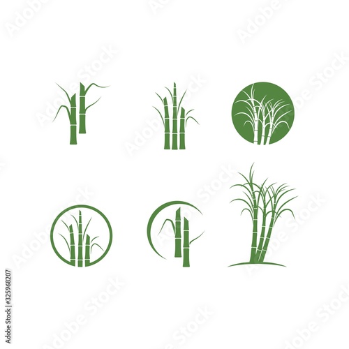 Sugar cane tree logo