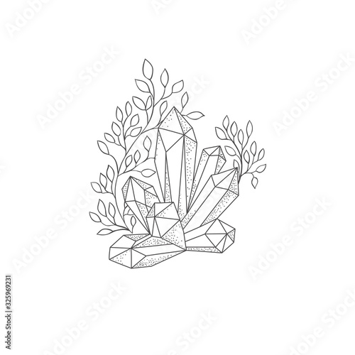 Hand drawn plant branches and Crystal. Greenery design elements. Botanical logos.