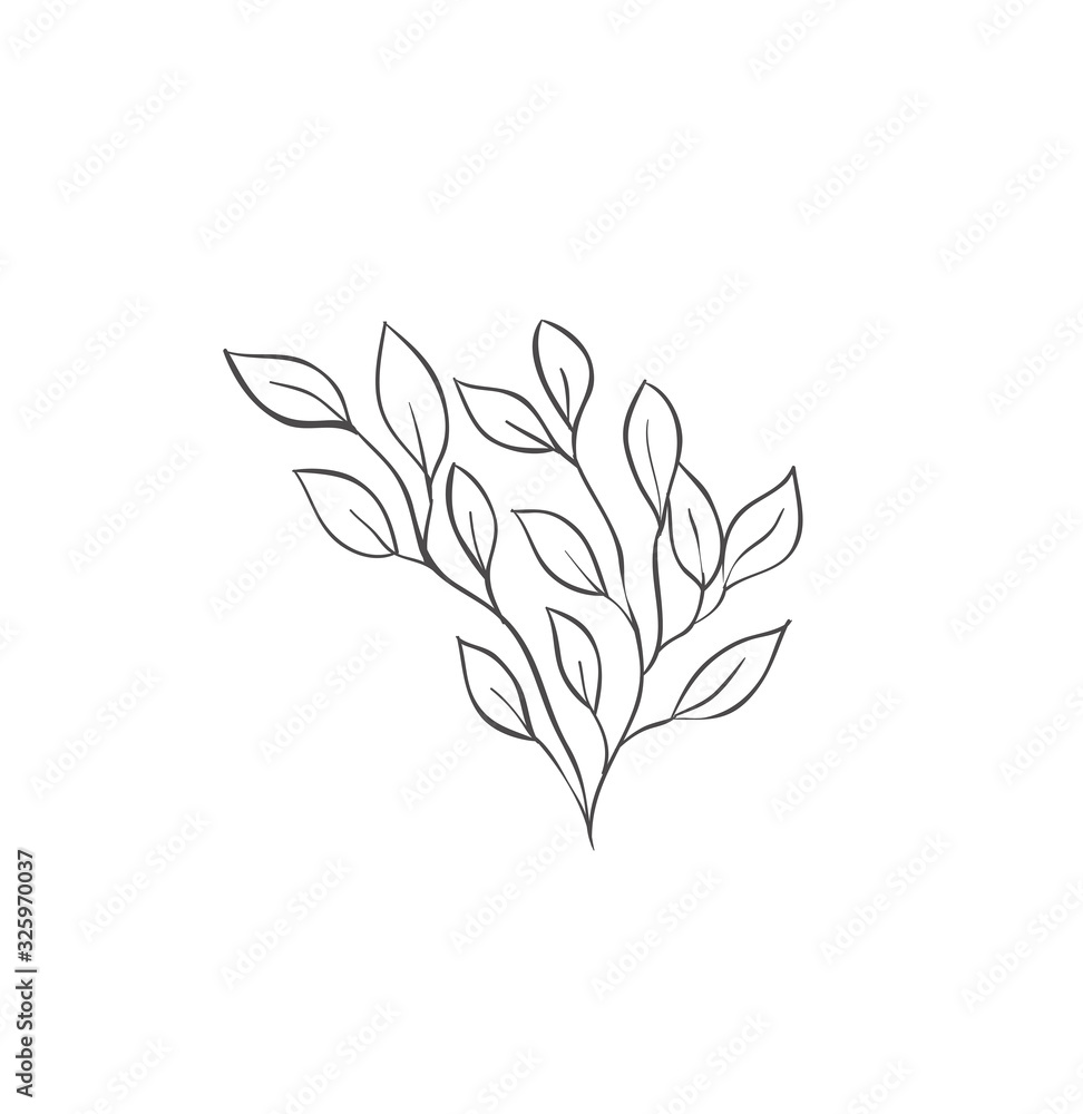Hand drawn plant branches. Greenery design elements. Botanical logos.