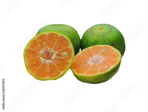 fresh citrus fruit isolated on white background