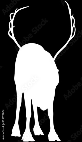 reindeer one white outline isolated on black