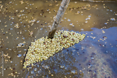 Coffee Roast, Wet process or wash method