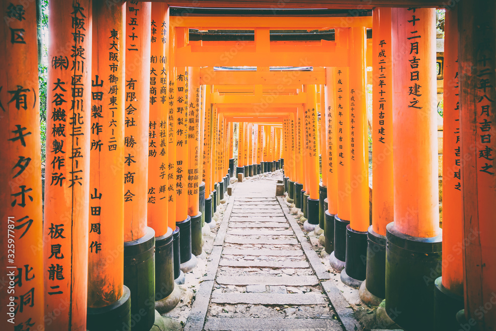 Torii gates in Fushimi Inari, Kyoto, Japan Torii gates in Fushimi Inari, Kyoto, Japan