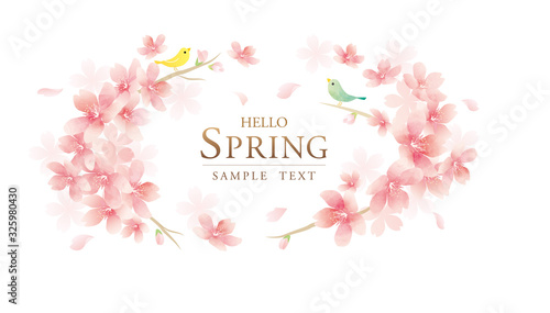 Fototapeta Naklejka Na Ścianę i Meble -  春の花　桜のフレームベクターイラスト　Elegant Spring Flowers Vector Background