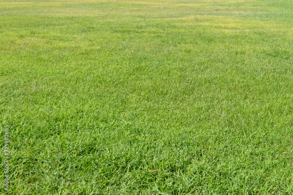 Green grass texture for background. Green lawn pattern and texture background. Green grass texture for background. Green lawn pattern and texture background.