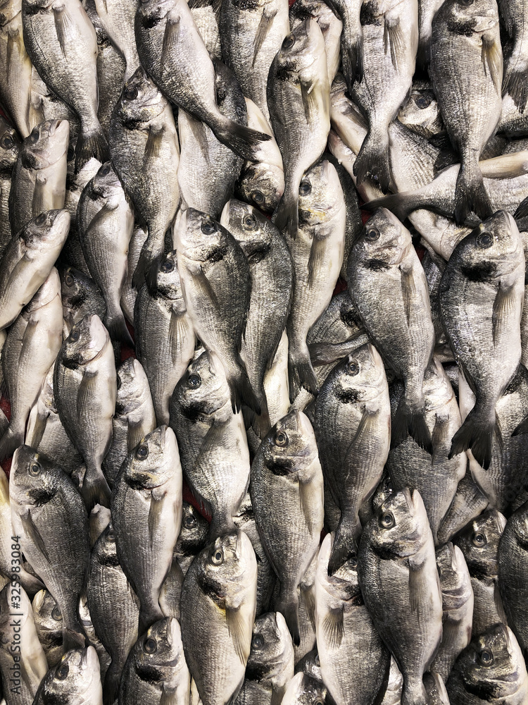 Obraz premium Fresh dorado on the counter of the fish market.