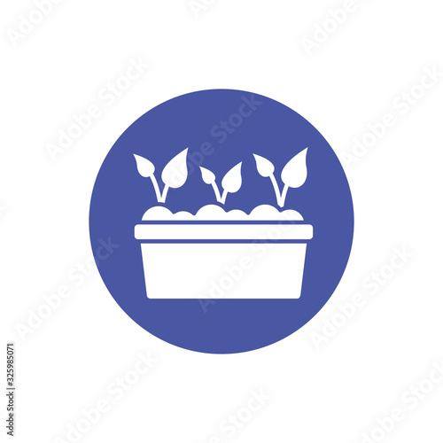 house plant cultivating block style