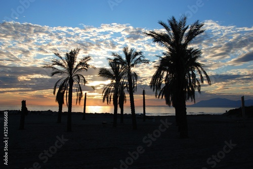 Beach with palm trees silhouetted at sunset  Puerto Cabopino  Spain.