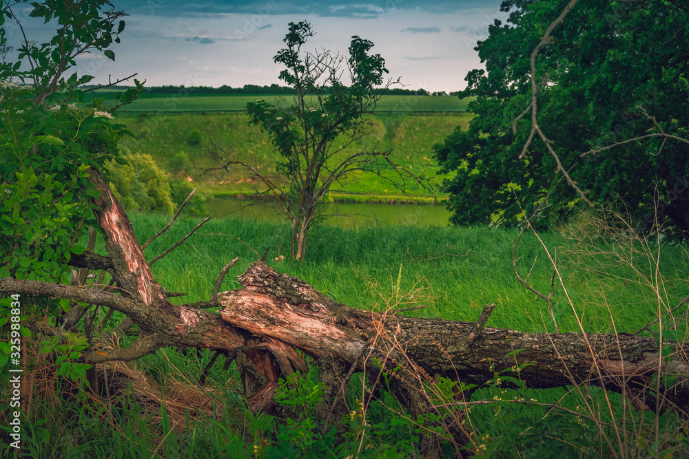 Fields landscape in summer sunset and sunrise Fields landscape in summer sunset and sunrise