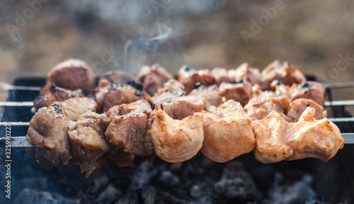 meat on grill skewer outdoor camping outside bbq cooking