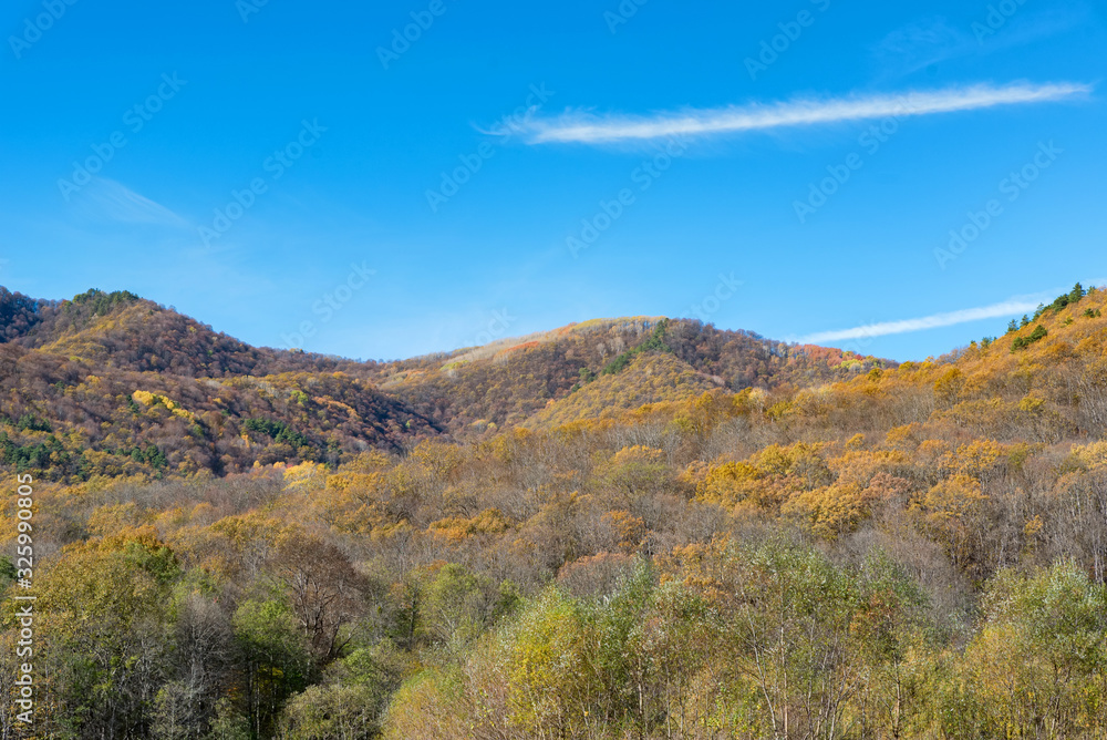 Panoramic view of bright autumn nature in hills taken by drone
