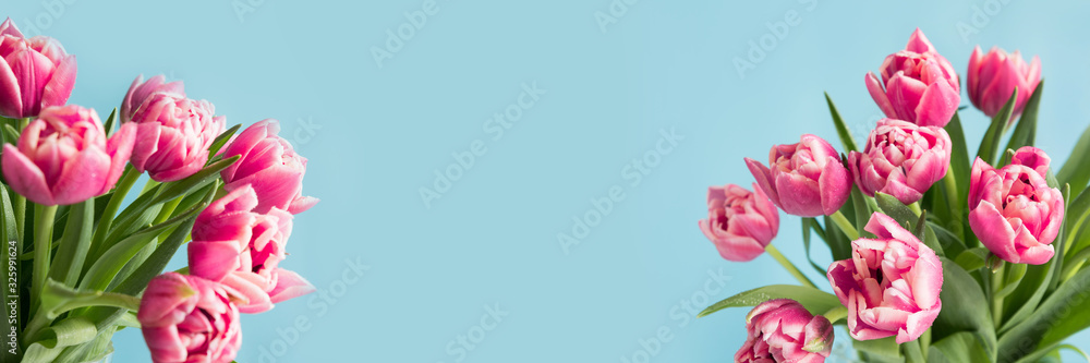 Obraz premium Pink tulips on blue. Mothers day. Space for text.