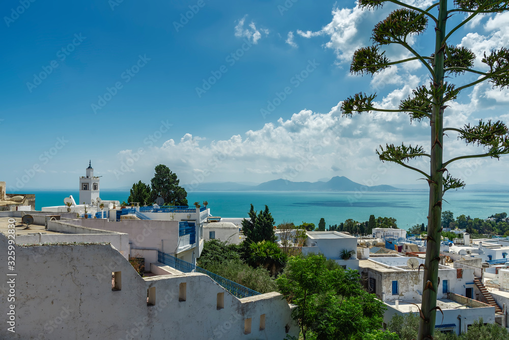 view of the sea bay and mountains from the city of Sidi-Bou-Said