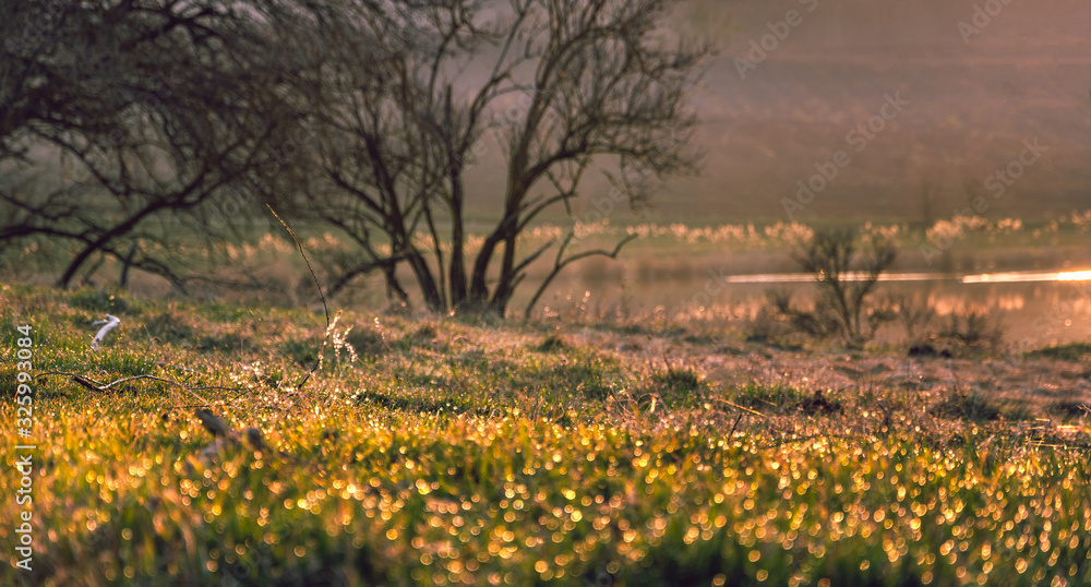 Obraz premium Sunrise on river