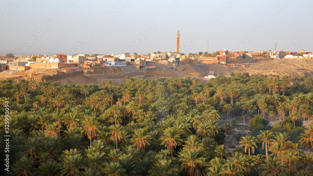 General view of the city of Nefta, Tunisia, with a palm grove in the foreground